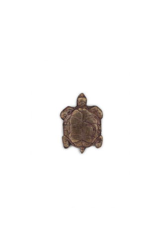 PINS TORTUE 1 